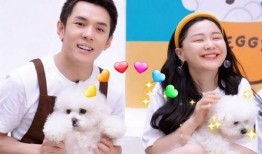 金靖最新爆料新闻