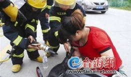 泉州摩托车爆料事件最新,真相与争议交织的街头风云