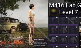 升级枪m4最新爆料,揭秘最新爆料与性能革新