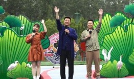 苏州饭店爆料视频大全最新,一窥酒店幕后故事