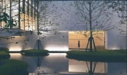 文安何小姐最新爆料消息,揭秘事件背后惊人真相