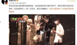 刘大锤最新爆料原版视频,原版视频背后的惊人真相